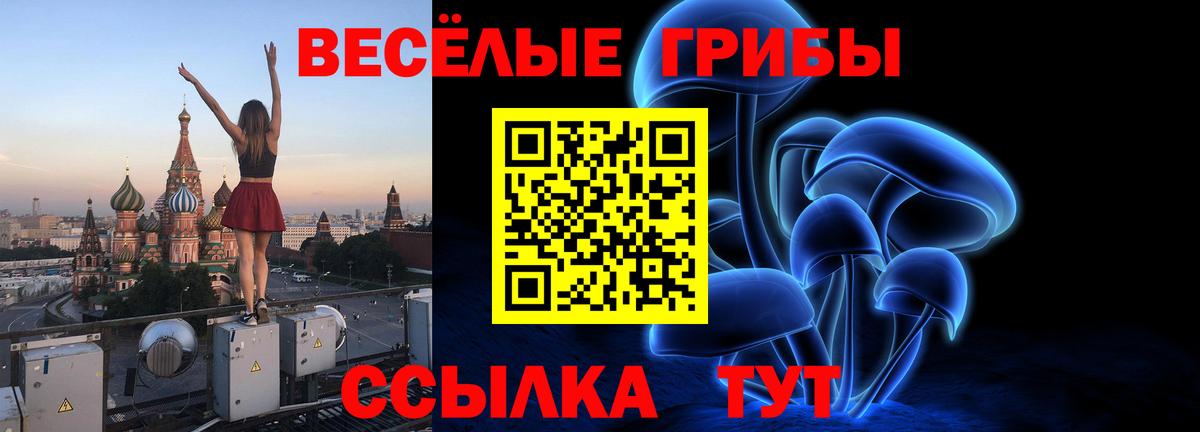Галлюциногенные грибы Magic Shrooms  Псилоцибиновые грибы Psilocybine cubensis  Вход с VPN  Костомукша 